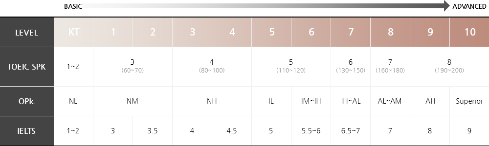 영어 레벨 시험별 구분